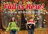 Fall is Here! Fall is here activities and free