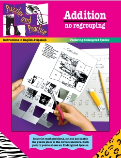 Puzzles & Practice: Addition (No Regrouping) Puzzles & Practice: Addition (No Regrouping)