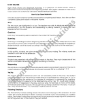 Sight Word Stories & Seatwork Activities (Book 1)