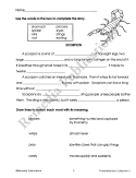 Comprehension Collection (Gr. 3)