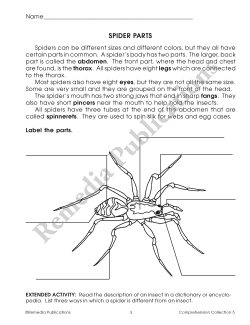Comprehension Collection (Gr. 5) Comprehension Collection (Gr. 5)