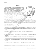 Comprehension Collection (Gr. 5)