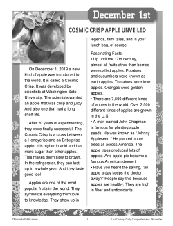 21st Century DECEMBER DAILY COMPREHENSION - High Interest Reading Activities 21st Century DECEMBER DAILY COMPREHENSION - High Interest Reading Activities
