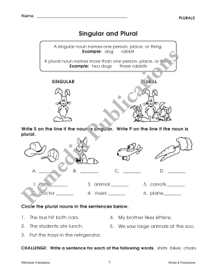 Skill Booster Series: Plurals & Possessives Skill Booster Series: Plurals & Possessives