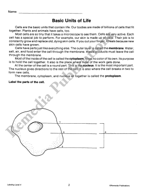 Labeling for Comprehension (Reading Level 4) Labeling for Comprehension (Reading Level 4)