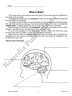 Labeling for Comprehension (Reading Level 4) Labeling for Comprehension (Reading Level 4)