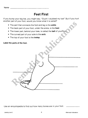 Labeling for Comprehension (Reading Level 2) Labeling for Comprehension (Reading Level 2)