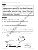 Beginning Reading (Grade 3)