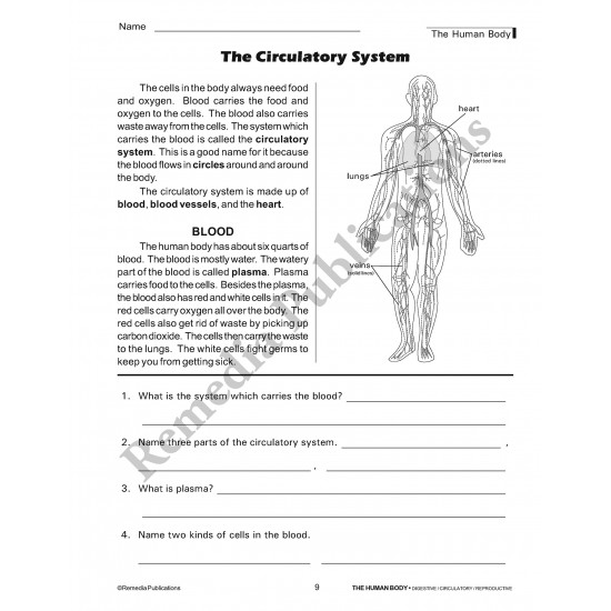 The Human Body: Digestive, Circulatory, Reproductive, & Excretory Systems