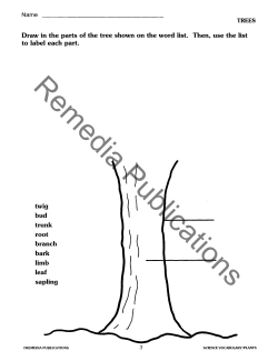 Science Vocabulary: Plants Science Vocabulary: Plants