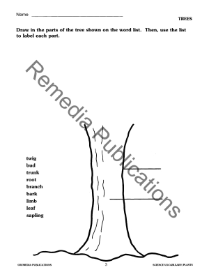 Science Vocabulary: Plants Science Vocabulary: Plants