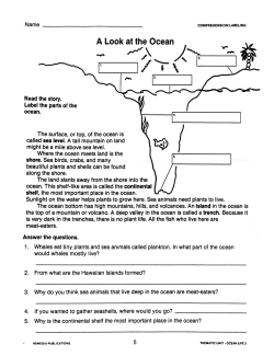 Ocean Life 2: Thematic Unit for All Subjects (eBook) Ocean Life 2: Thematic Unit for All Subjects (eBook)