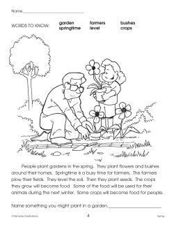 Seasonal Skill-Builders: Spring (eBook)