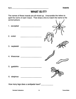 Insects: Skill-Based Activities for Grades 3-4 (eBook) Insects: Skill-Based Activities for Grades 3-4 (eBook)