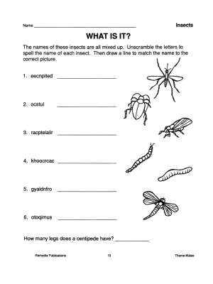 Insects: Skill-Based Activities for Grades 3-4 (eBook)