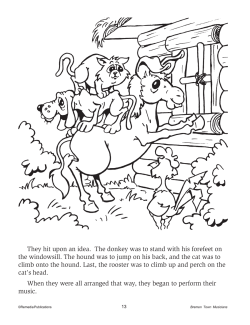 Bremen Town Musicians: Read & Color (eBook) Bremen Town Musicians: Read & Color (eBook)