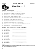 Expressive Language - Emotions & Feelings Vocabulary