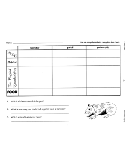 Informational Text Comprehension with Graphic Organizers: Using Charts 1 (eBook) Informational Text Comprehension with Graphic Organizers: Using Charts 1 (eBook)