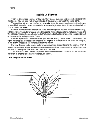Plant Life Cycle: Labeling for Comprehension (Chapter Slice) Plant Life Cycle: Labeling for Comprehension (Chapter Slice)