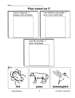 Cut, Paste, &amp; Color: Reading Comprehension (eBook)