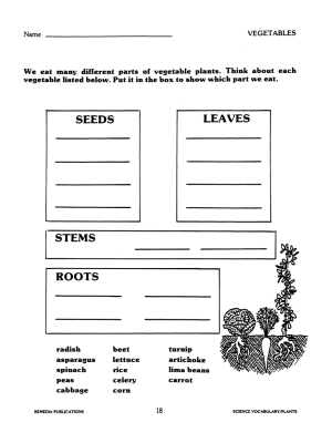 Science Vocabulary (Bundle) - Plants - Weather - Space - Human Body | Activities Science Vocabulary (Bundle) - Plants - Weather - Space - Human Body | Activities