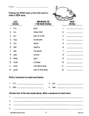 Word FUN: Vocabulary Challenges & Puzzles