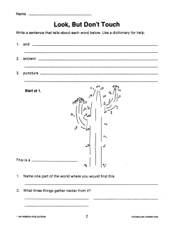 Vocabulary Connections - Learning ABOUT Each Word Vocabulary Connections - Learning ABOUT Each Word