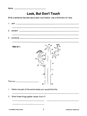 Vocabulary Connections - Learning ABOUT Each Word Vocabulary Connections - Learning ABOUT Each Word