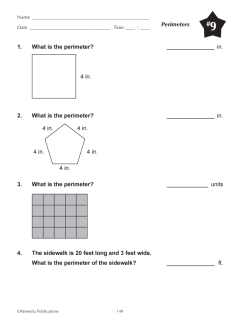 Perimeters (Chapter Slice)