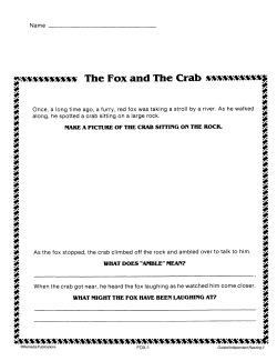 The Fox &amp; The Crab: Guided Reading (Chapter Slice)