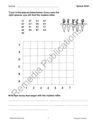 Perceptual & Spatial Concepts (Bundle) Perceptual & Spatial Concepts (Bundle)