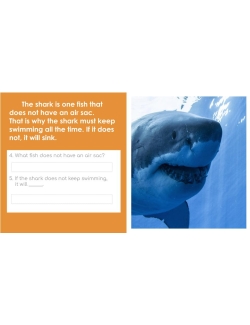 HIGH INTEREST READING BUNDLE Wonder Stories LVL 1 Google Slides