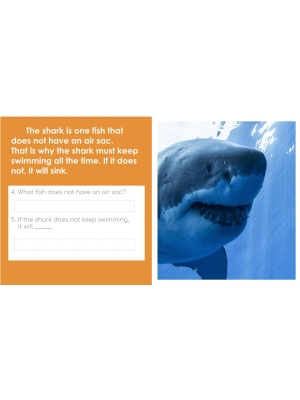 HIGH INTEREST READING GOOGLE CLASSROOM DIFFERENTIATION BUNDLE "I Wonder" Stories HIGH INTEREST READING GOOGLE CLASSROOM DIFFERENTIATION BUNDLE "I Wonder" Stories
