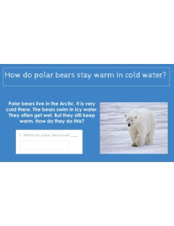 HIGH INTEREST READING GOOGLE CLASSROOM DIFFERENTIATION BUNDLE &quot;I Wonder&quot; Stories