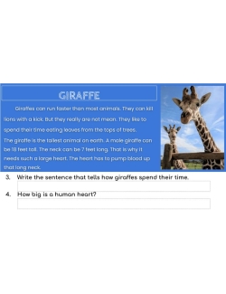 High-Interest Reading /Low Vocab. GOOGLE SLIDES BIG BUNDLE- SPORTS, JOBS, ANIMALS