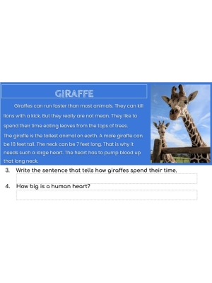 High-Interest Reading /Low Vocab. GOOGLE SLIDES BIG BUNDLE- SPORTS, JOBS, ANIMALS High-Interest Reading /Low Vocab. GOOGLE SLIDES BIG BUNDLE- SPORTS, JOBS, ANIMALS