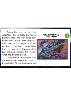 SCIENCE READING & COMPREHENSION ACTIVITIES - GOOGLE CLASSROOM LESSONS SCIENCE READING & COMPREHENSION ACTIVITIES - GOOGLE CLASSROOM LESSONS