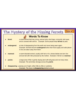 12 Mini Mysteries & Scaffolded Reading Activities (Cases 1-12) Google Classroom Set 12 Mini Mysteries & Scaffolded Reading Activities (Cases 1-12) Google Classroom Set