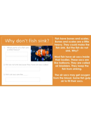 HIGH INTEREST READING Wonder Stories Lvl 1.1 | Google Slides™ HIGH INTEREST READING Wonder Stories Lvl 1.1 | Google Slides™