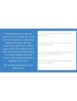 HIGH INTEREST READING Wonder Stories Lvl 1.2 Google Slides