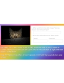 HIGH INTEREST READING Wonder Stories Level 3.1 Google Slides™ Distance Learning