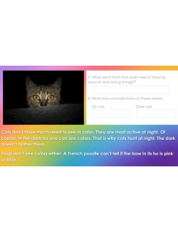 HIGH INTEREST READING Wonder Stories Level 3.1 Google Slides™ Distance Learning HIGH INTEREST READING Wonder Stories Level 3.1 Google Slides™ Distance Learning