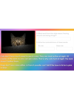 HIGH INTEREST READING Wonder Stories Level 3.1 Google Slides™ Distance Learning HIGH INTEREST READING Wonder Stories Level 3.1 Google Slides™ Distance Learning