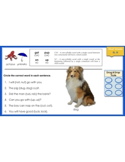 Phonics Rules & Decoding for Older Students: 167 GOOGLE SLIDES ACTIVITY LESSONS Phonics Rules & Decoding for Older Students: 167 GOOGLE SLIDES ACTIVITY LESSONS