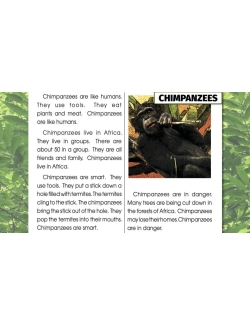 High Interest/Low Vocabulary Reading About AWESOME ANIMALS! Savings Bundle