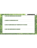 High Interest/Low Vocabulary Reading About AWESOME ANIMALS! Savings Bundle