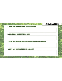 High Interest/Low Vocabulary Reading About AWESOME ANIMALS! Savings Bundle