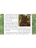 High Interest/Low Vocabulary Reading About AWESOME ANIMALS! Savings Bundle