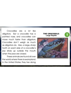 High Interest Reading / Low Vocab REMARKABLE REPTILES, INSECTS &amp; SPIDERS GOOGLE