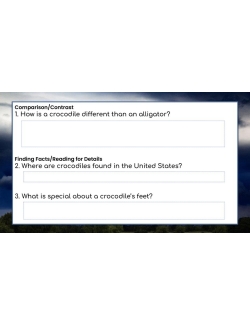 High Interest Reading / Low Vocab REMARKABLE REPTILES, INSECTS &amp; SPIDERS GOOGLE